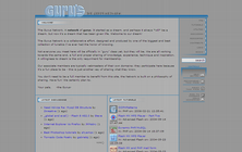 Screenshot: Gurus' Network